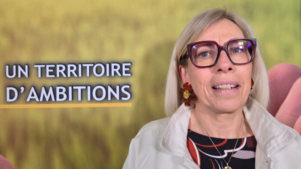 Conseil communautaire 20230601 Denis Flour